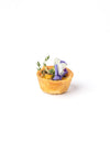 MINI CHICKEN AND MUSHROOM QUICHE